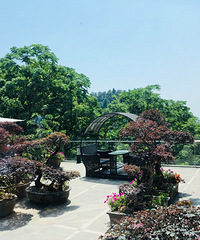 żȻȥ��һ����ᣬ�������ûʲô�ˣ��������չ�һ��