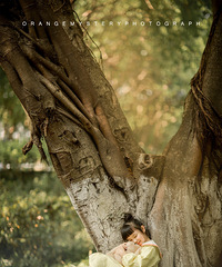 ���ԺҲ�����������Ƚ����-2