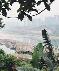 慕名而来的金海湾滨江公园,悠闲舒服