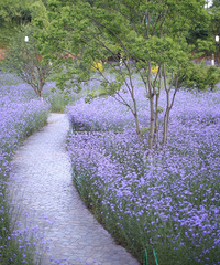 �������������������޲ݻ����򿨵��Ҷ�ȥ�ˣ���˵˵����