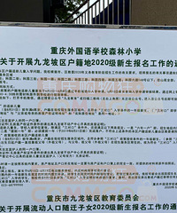 九龙坡外国语森林小学2020年招生简章出来了!要求更严格了