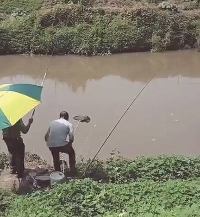 主城这能钓小龙虾和鱼,摘木耳野芹菜和桑泡,全都不要钱还好耍