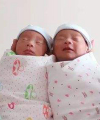 ��Ȼ��������һ��˫��̥��ȴ�ܱ������ǲ������Թܻ���