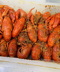 ����ĵ�һ��С��Ϻ������ֱ������ĺ�װС��Ϻ