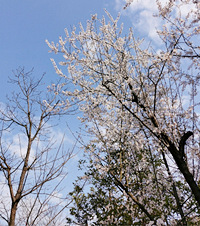 ��ƺ�����ݡ���㣬�������Լ��ҵ�С��԰����Ұ�Ϳ�party