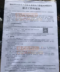 九龙坡区杨家坪小学2020年招生简章,规定时间内到校审核材料