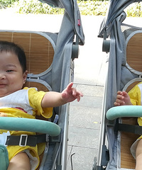 ˫̥˲Ե5Ԫһ׵·ֱʵ