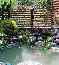 10����ɻ�԰���죬����СѼ���䡰����족��ҹ��Ч�����ǰ���