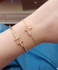 ����Tiffany��ܽ��T���������ܴ󸣺�������