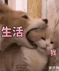 唉,心态崩了,我变成了不孕不育????