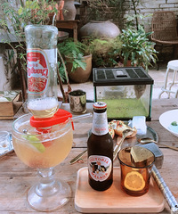 ������ֲ�Ŀ����������ʺϰ����ͣ����г��ȵ�Ѽ�Ӻ͹�����