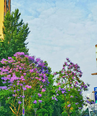 �����5������������ɫ�ģ�ÿ�����°�·�϶��ܿ����λõ������