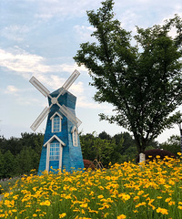 铁山坪郊游,野炊,吊吊床,享受大自然的乐趣!