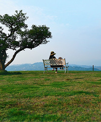 û뵽816СʵǸʺεĵط