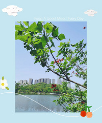 彩云湖湿地公园夏天也好玩,娃儿耍水,大人啤酒卤味配扑克