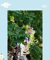 彩云湖湿地公园夏天也好玩,娃儿耍水,大人啤酒卤味配扑克