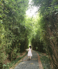 这个季节的照母山,美了美了