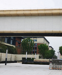 �����޼�����ѧУ������ָ��ֻ��������һ��ʦ�ʣ�������Դ