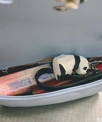 ��һ����ɫ��Gucci�����죬ʵ��̫������