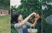 1.5Сʱ͵Ĺ԰ժƷưͣ˹