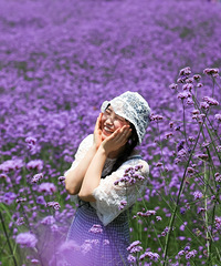 顶着烈日打卡普罗旺斯重庆分斯,真的还是多值得的