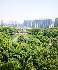 这家酒店像个度假村,有游乐园和孔雀园,餐标最低还不到一千