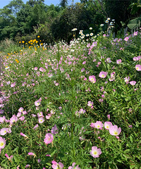 ���ʱ�����ĸɽ�����ʺ����գ������������