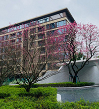 �ҷ�������ԭ������һ�������̿��Ժ�����һƴ��Ʒ�ʸо���������