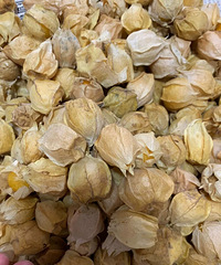 第一次吃叫“菇娘”的北方水果,味道超惊喜