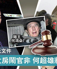 ����ȥ�����ķ��Ʋ��ָ���״