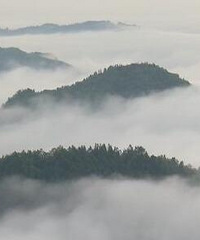 ����������ƺ����� ����һ��ˮī����