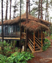 ��ҪǮϴ�εĺõط������糵���޲ݻ���ժ��ݮ������¶Ӫ����