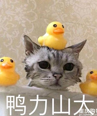 �����ϯǮ��ĸ��������Ǯ�Լ�����������Ӧ��˭��