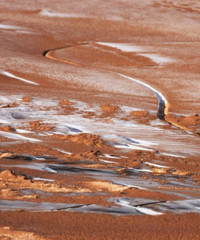 ˢ���ˣ��й��׸����ҹ�԰��������ʽ��������������ֻҪ700