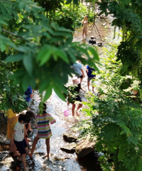 主城这个湿地公园好适合夏天来,野餐,耍水,拍照,凉快舒服