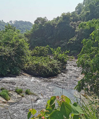 玩水、烧烤、搬螃蟹钓小龙虾,打卡主城一小时内的没人地,好耍