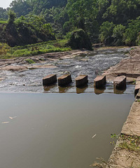 玩水、烧烤、搬螃蟹钓小龙虾,打卡主城一小时内的没人地,好耍