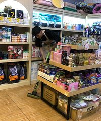开家宠物店就可以天天和萌宠玩?但老板的工作并不是“逗猫耍狗”