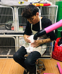 铲屎官们都想创业,但宠物店老板的工作并不是“逗猫耍狗”