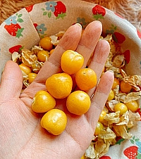 ���ǳԹ��С������ˮ���𣿳������ۣ�ζ��ȴ��һ��