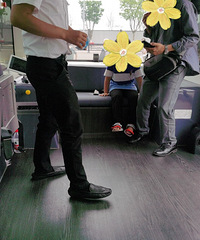 体验无人驾驶的车车,智能集市,顺便在紫色花海里凹个造型