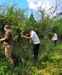 带着娃们武隆森林探宝,吃农家腊肉摘草药