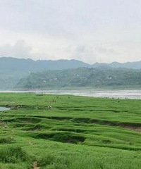 Ѵ�ڽ���������������ʧ��������е�Ҳ������û