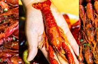 2020��ĵ�һ��С��Ϻʢ�磬�����￪ʼ