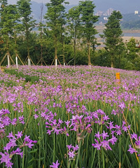 遛娃耍水好安逸,就在主城离家近,车少人少