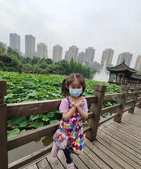 这个公园的荷花开了,可以喂鱼还有喷泉是遛娃的好地方