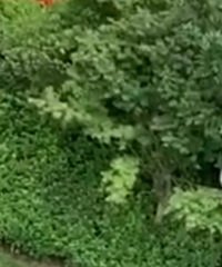 С����÷������̰���˵Ĵ������������ֹδ��