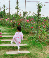 遛娃好去处,有沙坑有花花,超值的