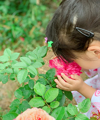 ���޺�ȥ������ɳ���л�������ֵ��