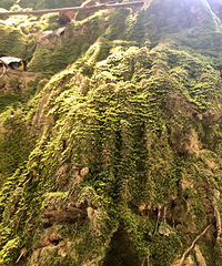 黄桷古道———虽然腿软但是景色真的值得一看